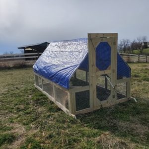 Completed Chicken Tractor