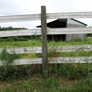 Fencing in need of repair