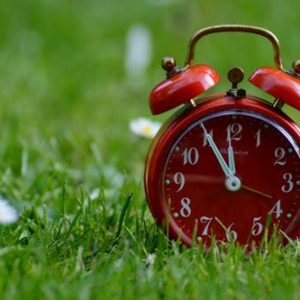 Red Clock on Grass